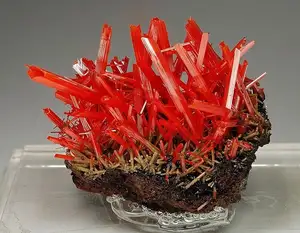 Discover Crocoite: The world's rarest brilliant orange-red mineral, a stunning crystal masterpiece-0