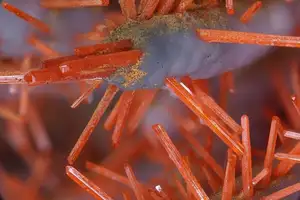 Discover Crocoite: The world's rarest brilliant orange-red mineral, a stunning crystal masterpiece-6