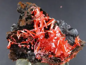 Discover Crocoite: The world's rarest brilliant orange-red mineral, a stunning crystal masterpiece-7