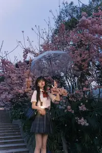 Xing Zhi Ka Tao: Dreamy Cherry Blossom Twilight with a Lantern - YiTuYu Vol.8564-4