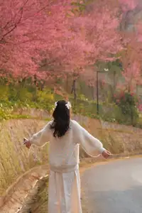 Discover Mù Cang Chải's Tớ Dày Flower Season: The Captivating Beauty of Northwestern Mountains Awaits You!-11