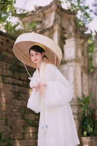 The Elegant Beauty of Vietnamese Women in Traditional Attire, A Symbol of Enduring Culture-11