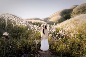 Binh Lieu Reed Grass: Quang Ninh's Autumn Wonderland, A Breathtaking Scenic Paradise for Travelers-2