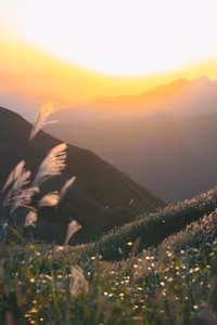 Binh Lieu Reed Grass: Quang Ninh's Autumn Wonderland, A Breathtaking Scenic Paradise for Travelers-10