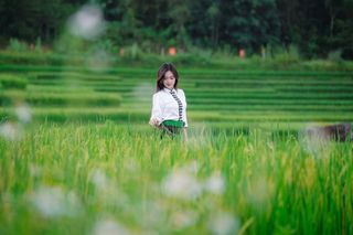 Vietnamese Cultural Beauty: Girl in Traditional Attire-0