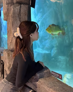 Auddk-77 Myeong-ah Part04: Elegant Myeong-ah in Form-fitting Grey, Captivating with Natural Charm-13