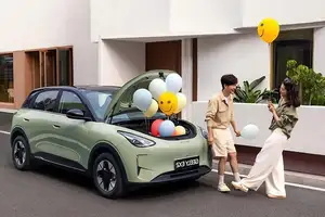 Geely EX2: Unveiling the B-Segment EV Platform Set to Challenge BYD Dolphin.-10