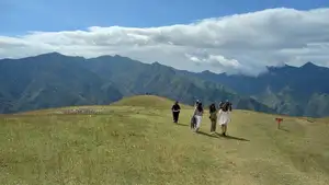 Ta Xua Winter: Discover the pristine beauty of forest flowers amidst majestic mountains-1