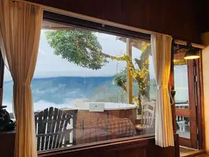 Ta Xua Winter: Discover the pristine beauty of forest flowers amidst majestic mountains-10