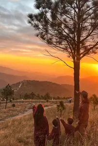 Discover Phoenix Peak Quang Ninh: Mesmerizing Golden Grass Hills for an Unforgettable Trekking Experience-11