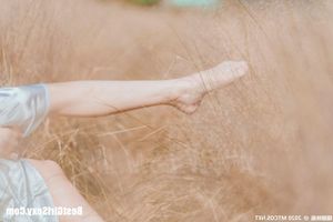 MTYH Vol.224: Feminine Beauty in a Golden Late Autumn Field - Enchanting Girl Photo-23