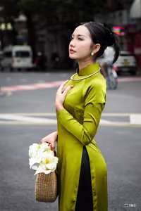 VGU No.41: Elegant Vietnamese Ao Dai Beauty Timeless Charm of Asian Women-1