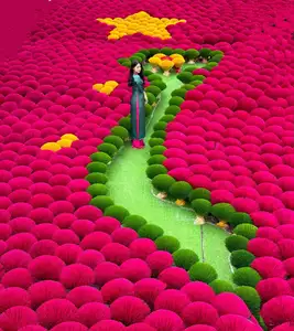 Discover Quang Phu Cau Incense Village: Vibrant Red Hue Draws Tourists Near Hanoi-10