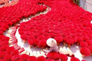 Discover Quang Phu Cau Incense Village: Vibrant Red Hue Draws Tourists Near Hanoi-1
