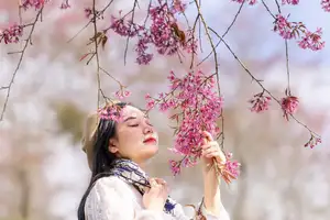 Sa Pa's Stunning Cherry Blossoms: Discover the Most Beautiful Season in the Mountain Town-1