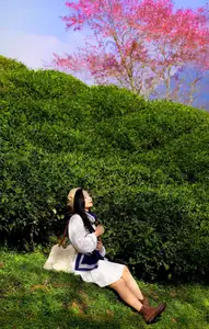 Sa Pa's Stunning Cherry Blossoms: Discover the Most Beautiful Season in the Mountain Town-9