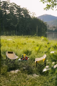 View - Suoi Tia Da Lat: Discover the Ethereal Misty Fairyland at Dawn-2