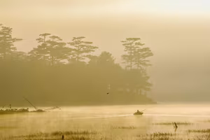 View - Suoi Tia Da Lat: Discover the Ethereal Misty Fairyland at Dawn-8