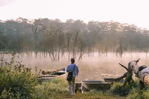View - Suoi Tia Da Lat: Discover the Ethereal Misty Fairyland at Dawn-6