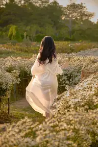 Poetic Beauty in a Daisy Garden: Serene Moments Under Gentle Sunset Glow. Discover This Dreamy Scene!-4