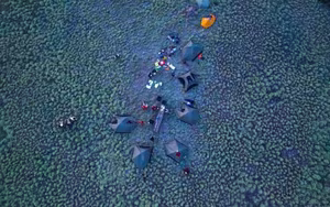 Hon Dua Island Uncover Pristine Nature Experience Wild Camping and Breathtaking Sunsets-3