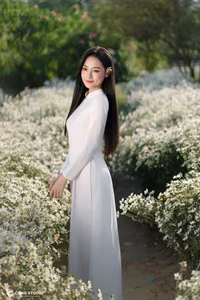 Elegant Vietnamese Woman in White Ao Dai Amidst Blooming Daisy Field - VGU No.123-0