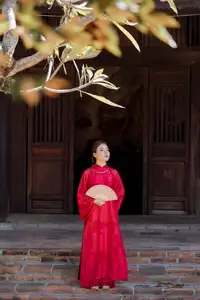 Graceful Vietnamese Traditional Ao Dai: Timeless Elegance 1000024747-3