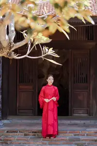 Graceful Vietnamese Traditional Ao Dai: Timeless Elegance 1000024747-11