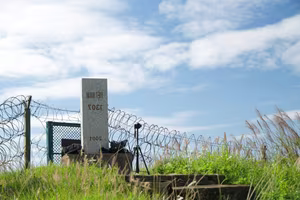 Discover Binh Lieu Stunning Reed Grass Fields Majestic Vietnam Nature View-1