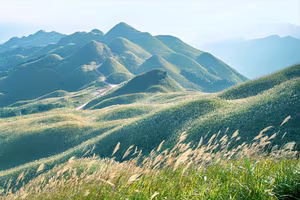 Discover Binh Lieu Stunning Reed Grass Fields Majestic Vietnam Nature View-7
