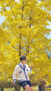 Sa Pa's Golden Ginkgo Season: A Romantic Mountain Escape for End-of-Year Check-ins-5