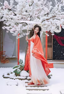 Elegant Hanfu Beauty in Winter Wonderland Asian Traditional Dress and Snow-0