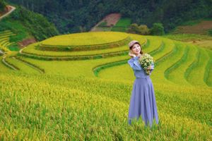Explore Vietnam's Majestic Terraced Fields: Where Nature Meets Human Spirit 1000019782-16