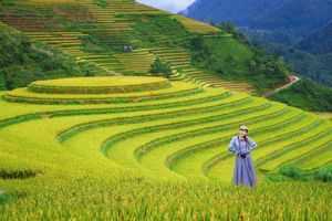 Explore Vietnam's Majestic Terraced Fields: Where Nature Meets Human Spirit 1000019782-14