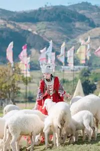 Ethnic Woman in Vibrant Traditional Attire 1000024497-1