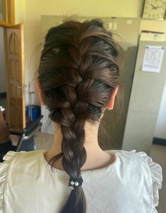 Gentle Beautiful Girl: Alluring Black Braided Ponytail Hairstyle - Elegant Look-7