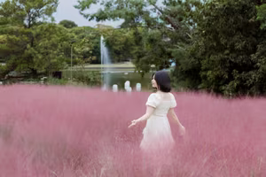 XVG No.33: Ethereal Beauty in White Dress Amidst Dreamy Pink Grass Field - A Serene Nature Escape-5