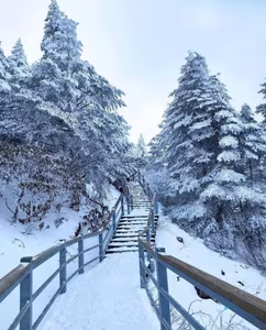 Explore Yunnan Conquer Snow Paradise Find Your Ideal Tour-8