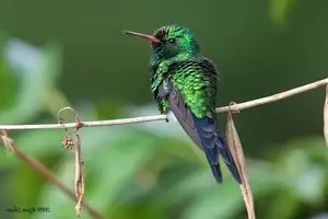 Majestic Snow-Capped Mountain: Discover the Pristine and Mysterious Beauty of Nature-4