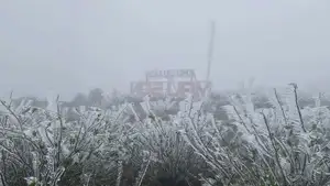 Discover Vietnam's Enchanting Winter Wonderland: Mystical Frost-Covered Landscapes Await You-7