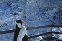 Discover Vietnam's Enchanting Winter Wonderland: Mystical Frost-Covered Landscapes Await You-8