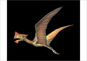 View: Tapejara - Bizarre Cretaceous Flying Reptile with Unique Giant Crest-0