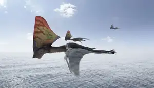 View: Tapejara - Bizarre Cretaceous Flying Reptile with Unique Giant Crest-3