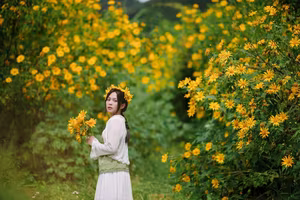 Da Lat Wild Sunflower Season: Explore Golden Paths and Unique Photo Spots-1