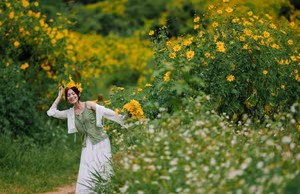 Da Lat Wild Sunflower Season: Explore Golden Paths and Unique Photo Spots-12