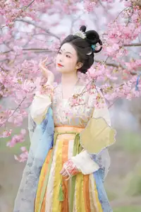 Discover Ke Ke K's Timeless Hanfu Beauty Amidst Romantic Cherry Blossoms Vol.8528-14
